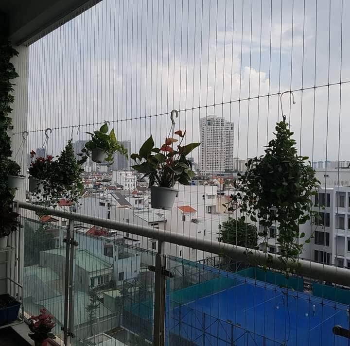 Renu Invisible Grills installed on a balcony